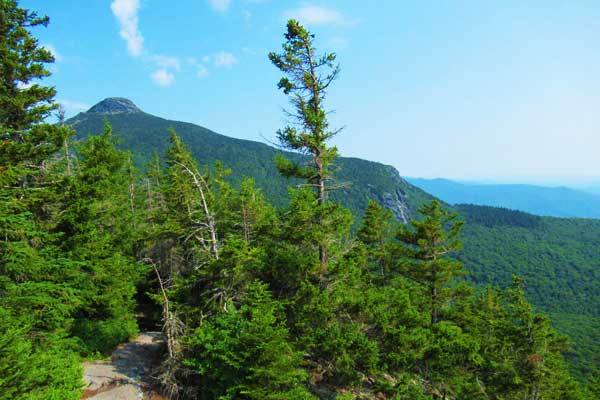 Camels-Hump-Hike-Forest-Trail