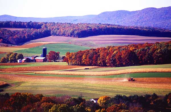 Appalachian-Trail-PA-Pennsylvania-Fields