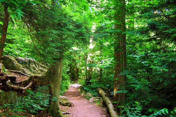 Appalachian-Trail-PA-Pennsylvania-State-Park