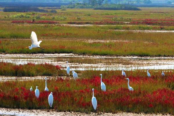 Benefits-and-Challenges-of-Hiking-Maryland-AT