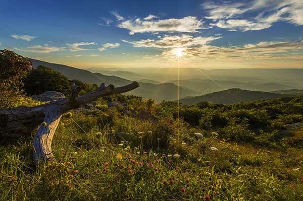 shenandoah AT Virginia