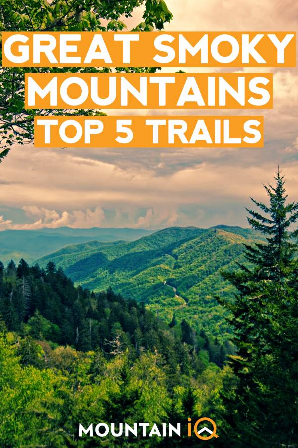 great-smoky-mountains-top-5-trails