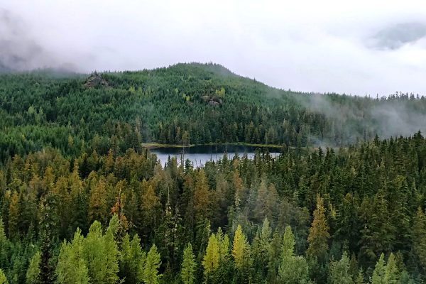 whistler-hikes-ancient-cedar-trail