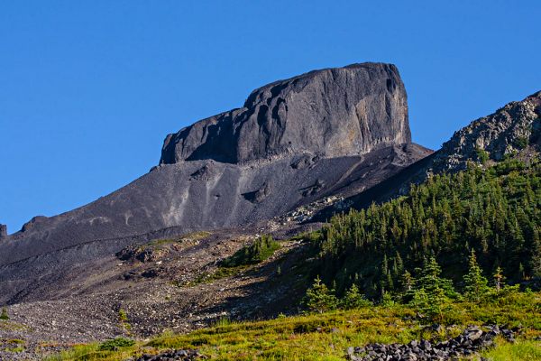 black-tusk