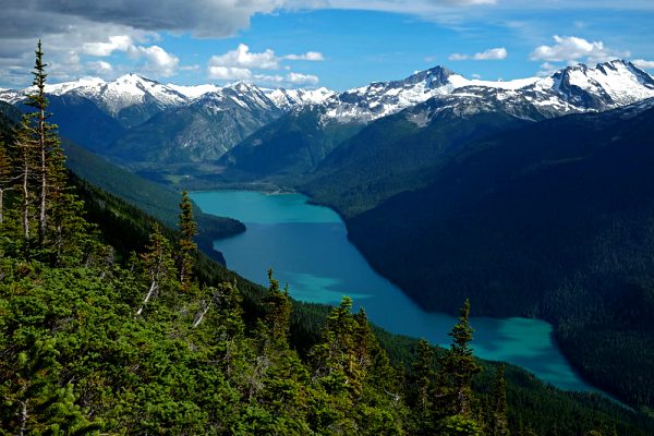 whistler-hikes-high-note-trail