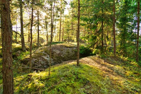 Santalahti-forest-hike