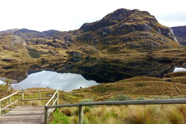 cajas-ecuador