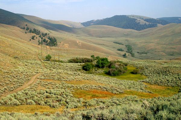 continental-divide-trail-new-mexico