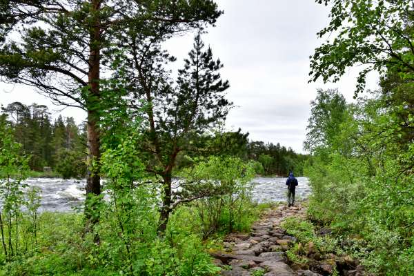inari-finland-hikes