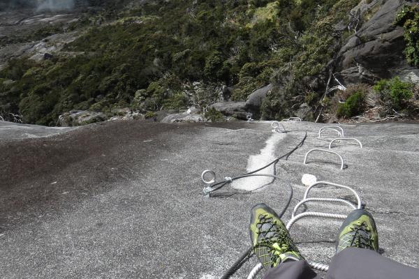 ladder-torq-mt-kinabalu