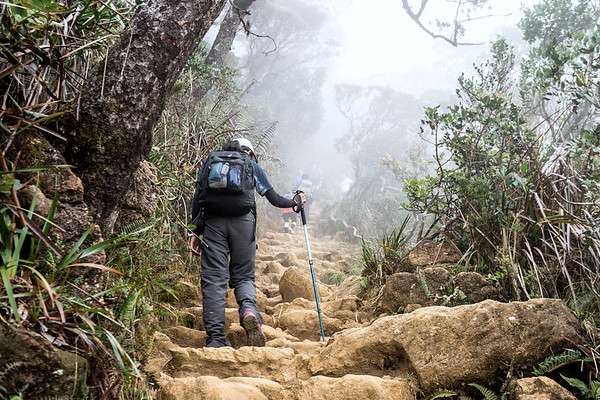 stairs-trail-mt-kinabalu