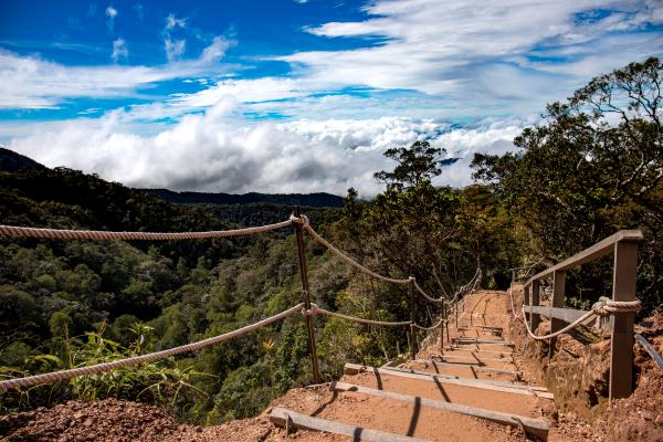 trail-mount-kinabalu