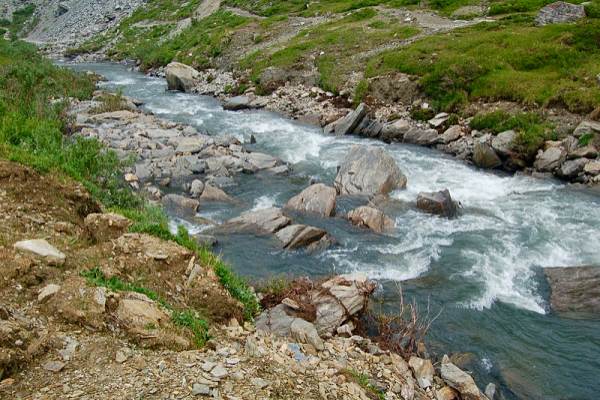 savage-river-trail-alaska