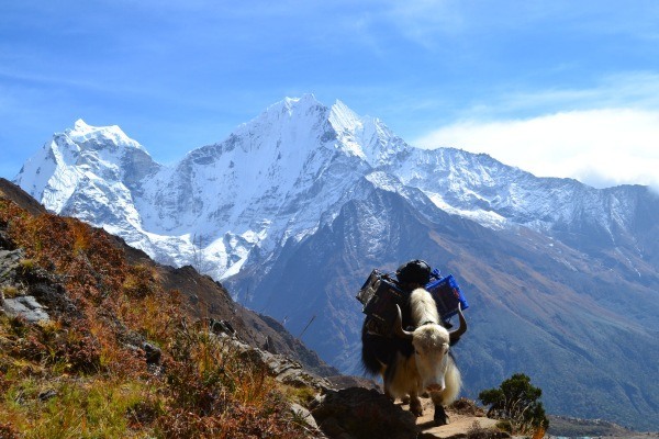 gokyo-trek gokyo-trek