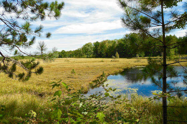 ice age trail views