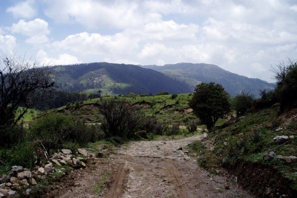 Singalila Trek Trails