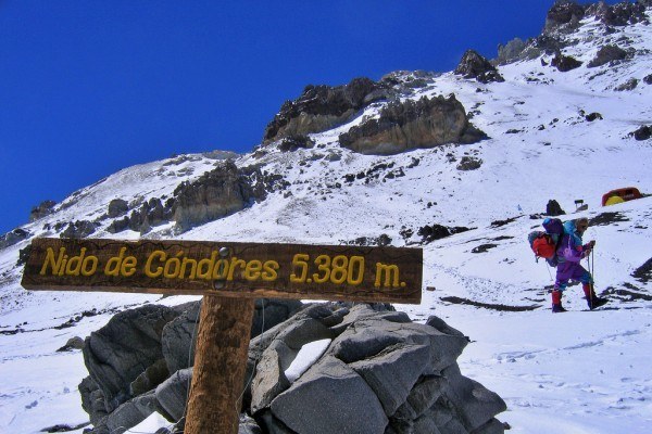 aconcagua-nido aconcagua-nido