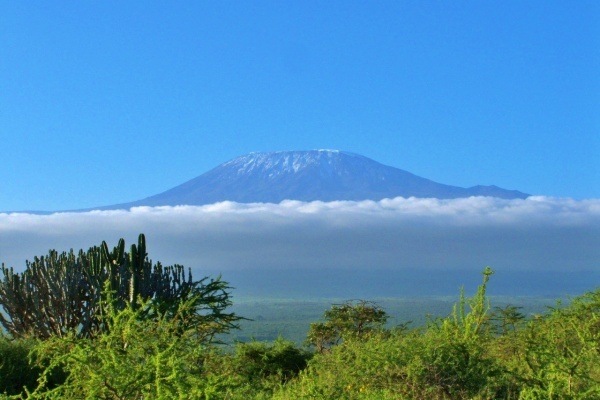 kilimanjaro