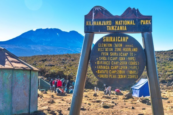 lemosho-shira1camp lemosho-shira1camp