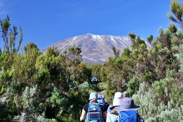 rongai-simba-camp-kilimanjaro rongai-simba-camp-kilimanjaro