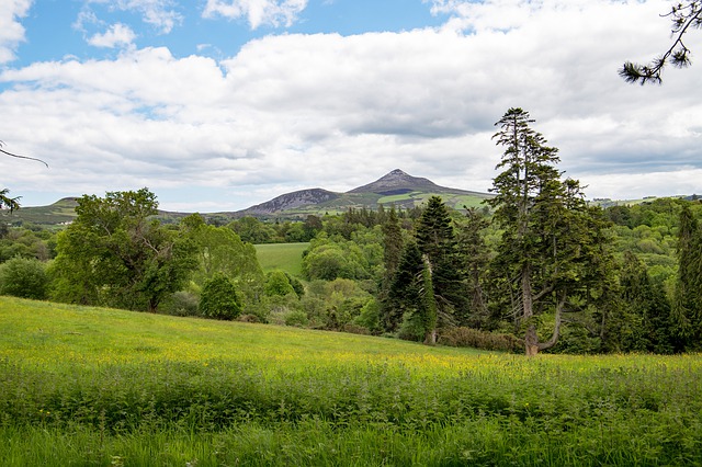 Wicklow Mountains