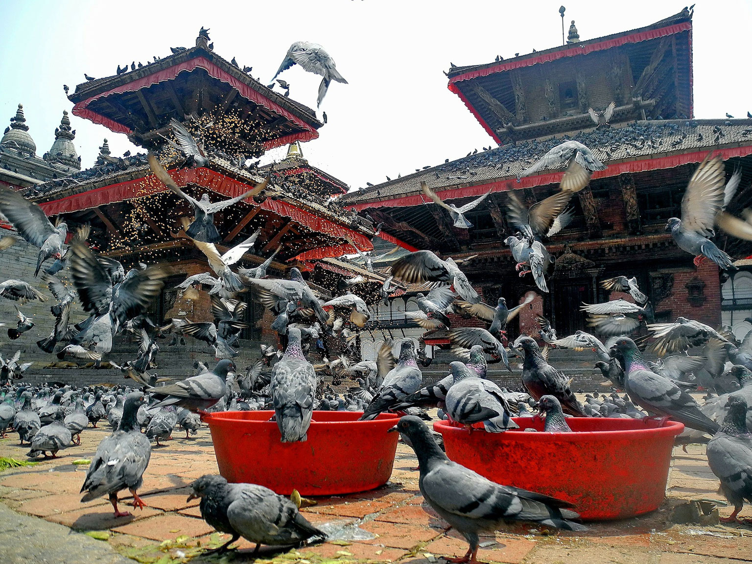 kathmandu-pigions-temples-everest-base-camp