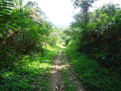 Kokoda Track