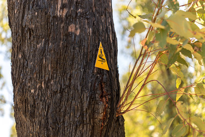 bibbulmun trail Australia