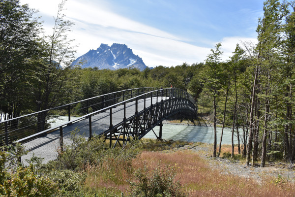 Bridge in Torres Del Paine