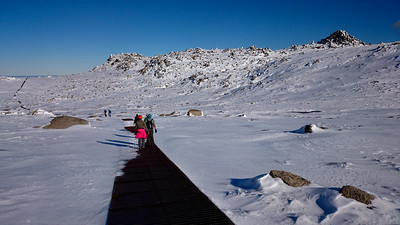 Mount Kosciuszko hike
