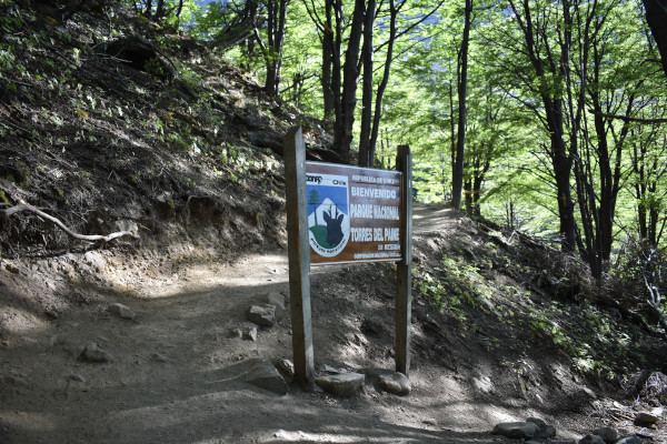 Base Torre Trail, Patagonia