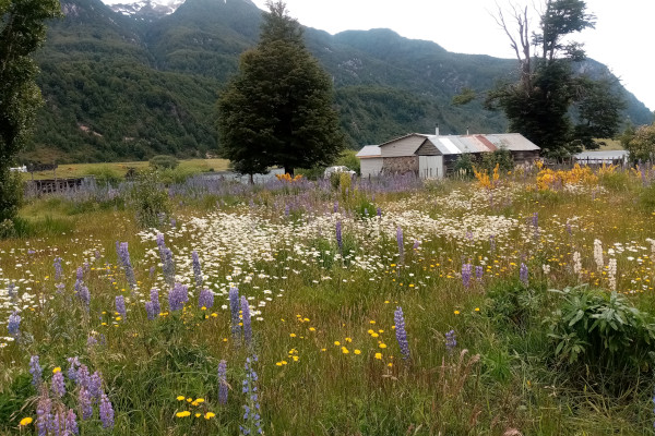 November In Patagonia, Caraterra Austral