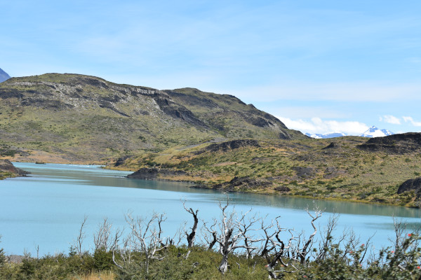 laguna torres del paine