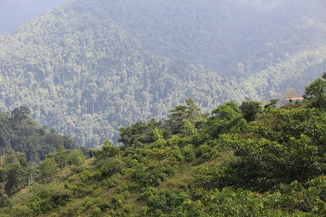 Colombia mountains