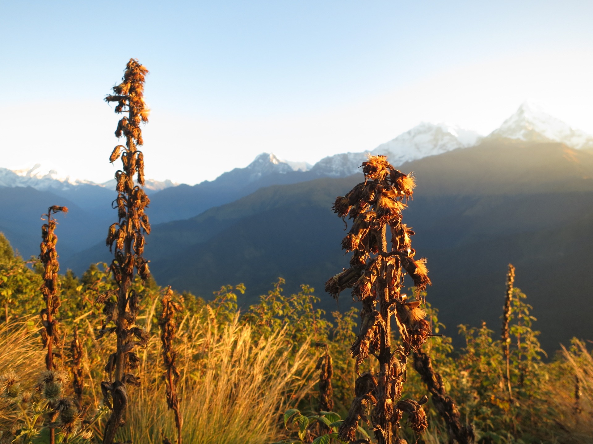 poon hill trek itinerary