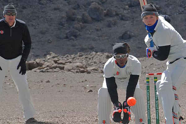 Kilimanjaro-Cricket