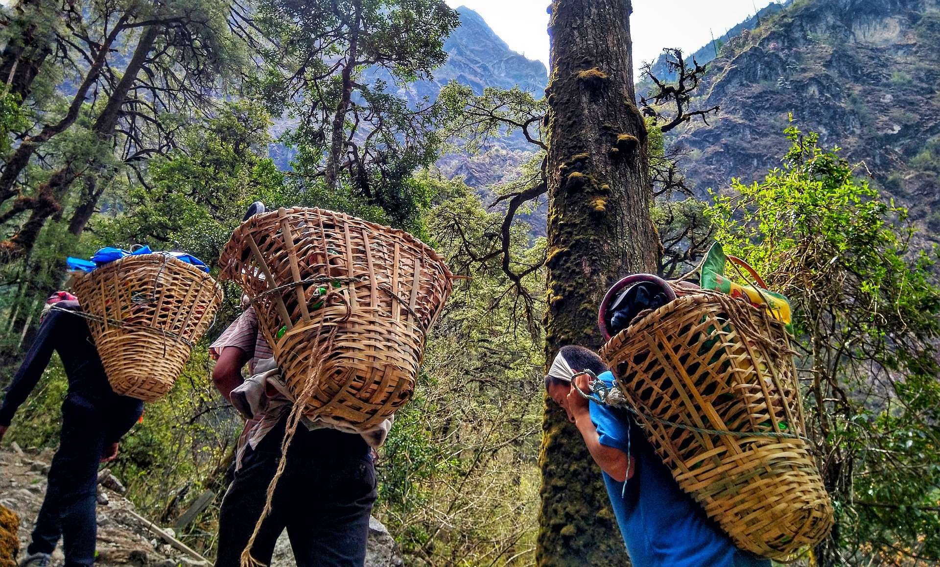 langtang trek august