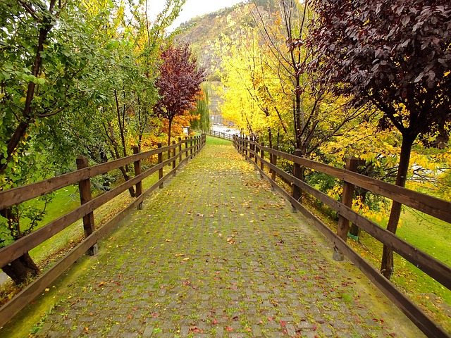 autumn in Gran Paradiso, Italy
