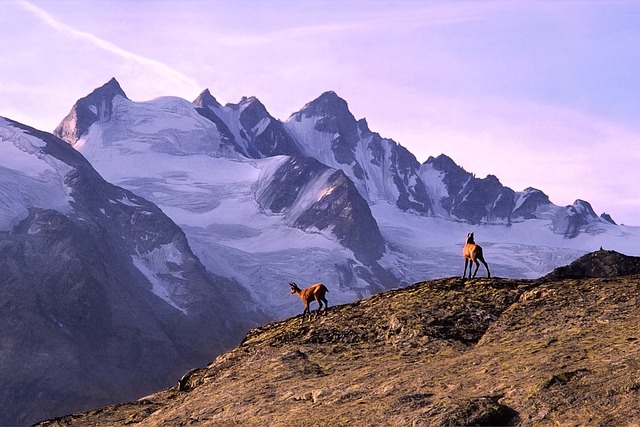 Gran Paradiso National Park Hiking