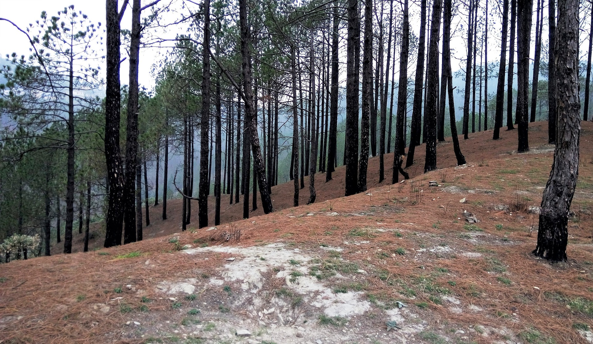 roopkund trek in december