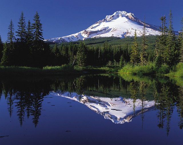 Mount hood