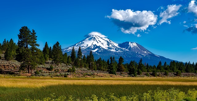 mount shasta