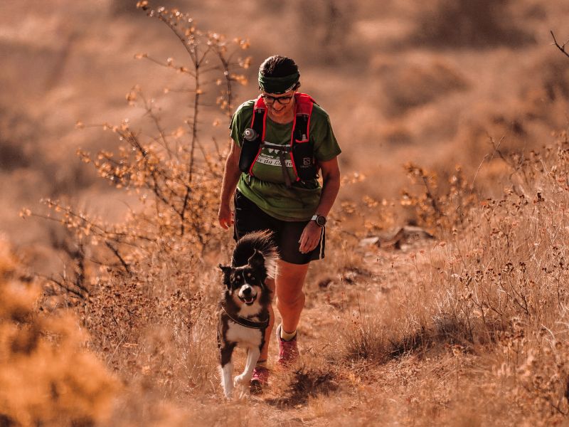 Dog hiking Dog hiking