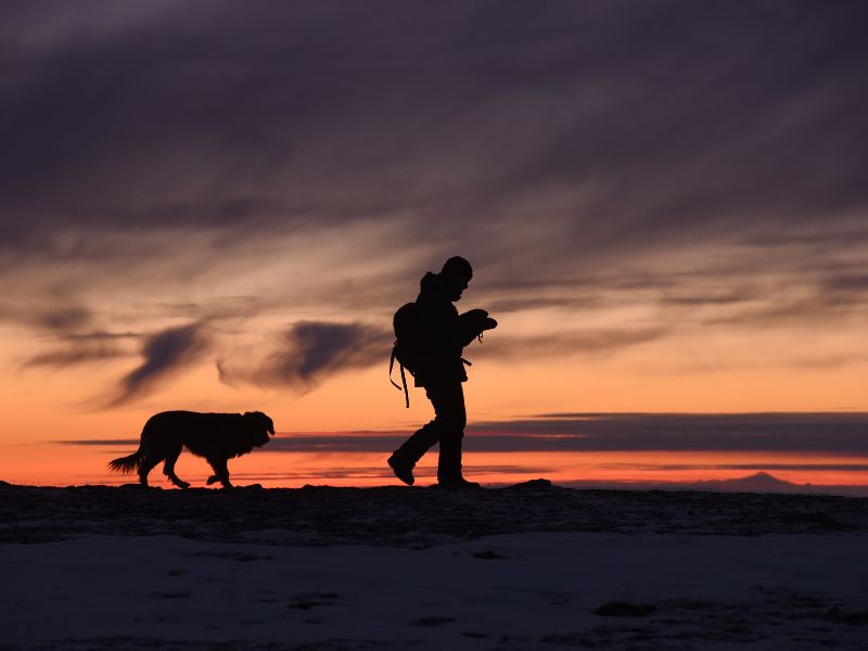 Hiking with dogs