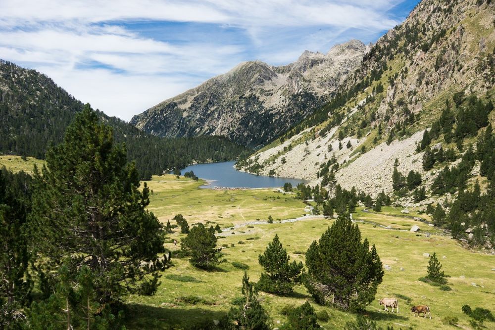 Pyrenees