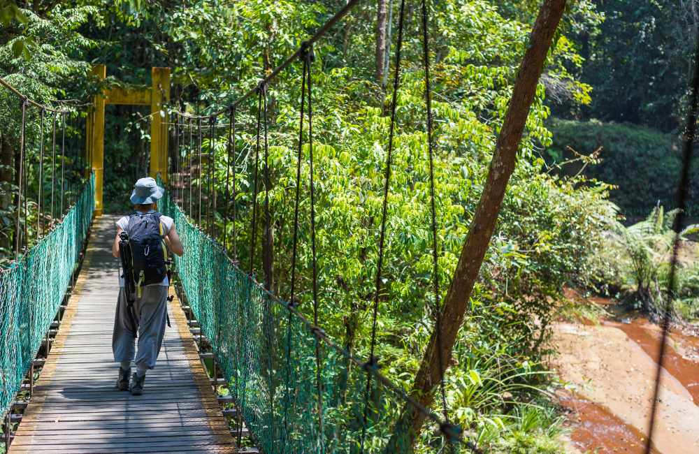 Miscellaneous Rainforest Hiking Essentials Miscellaneous Rainforest Hiking Essentials