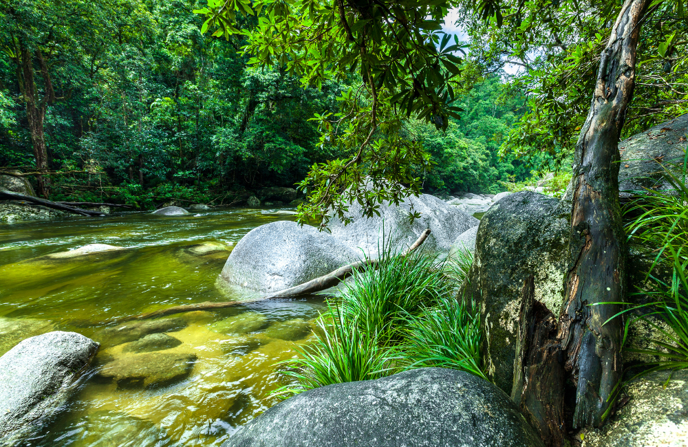 My Ultimate Rainforest Hiking Packing List My Ultimate Rainforest Hiking Packing List