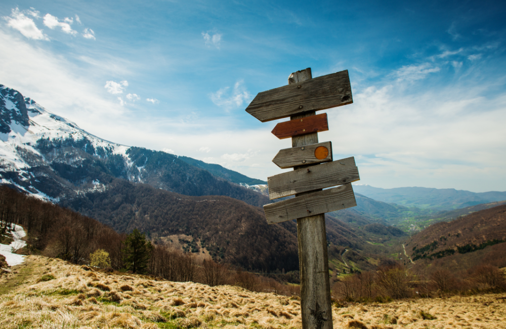 2. AllTrails (Route Discovery + Turn Alerts)
