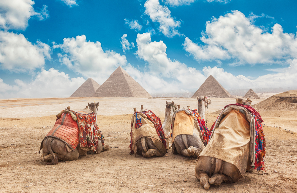 5. Wadi El Hitan (Whale Valley) Fayoum 5. Wadi El Hitan (Whale Valley) Fayoum