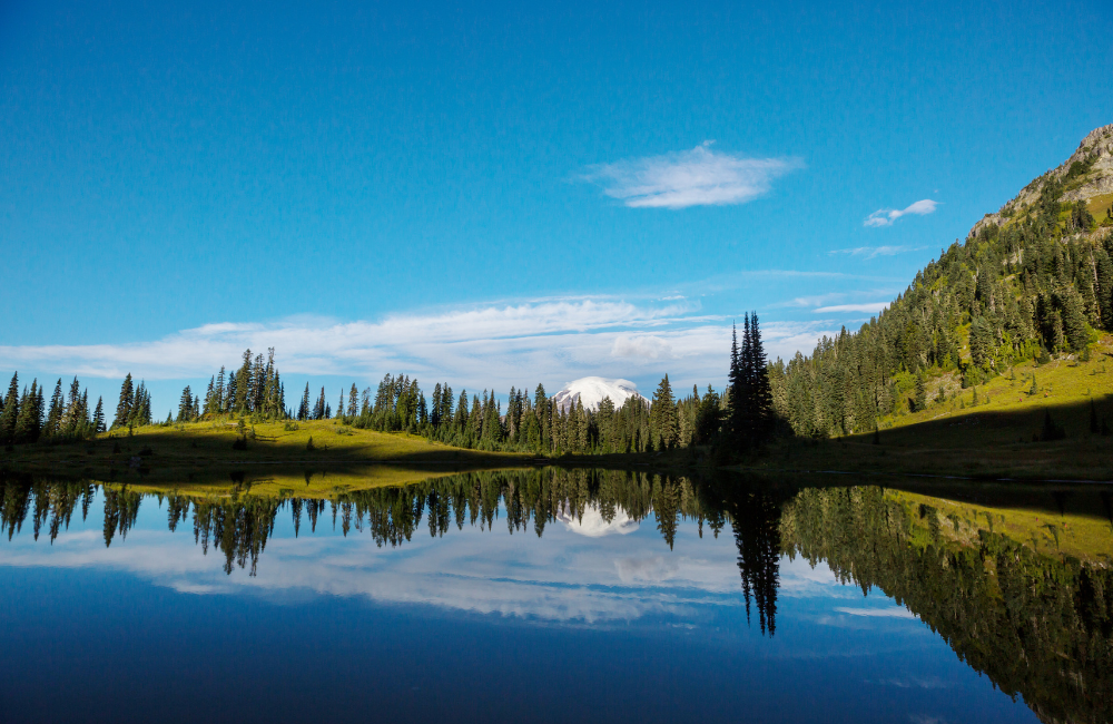 A Quick Access Heads-Up (So You Don’t Get Blindsided) A Quick Access Heads-Up (So You Don’t Get Blindsided)